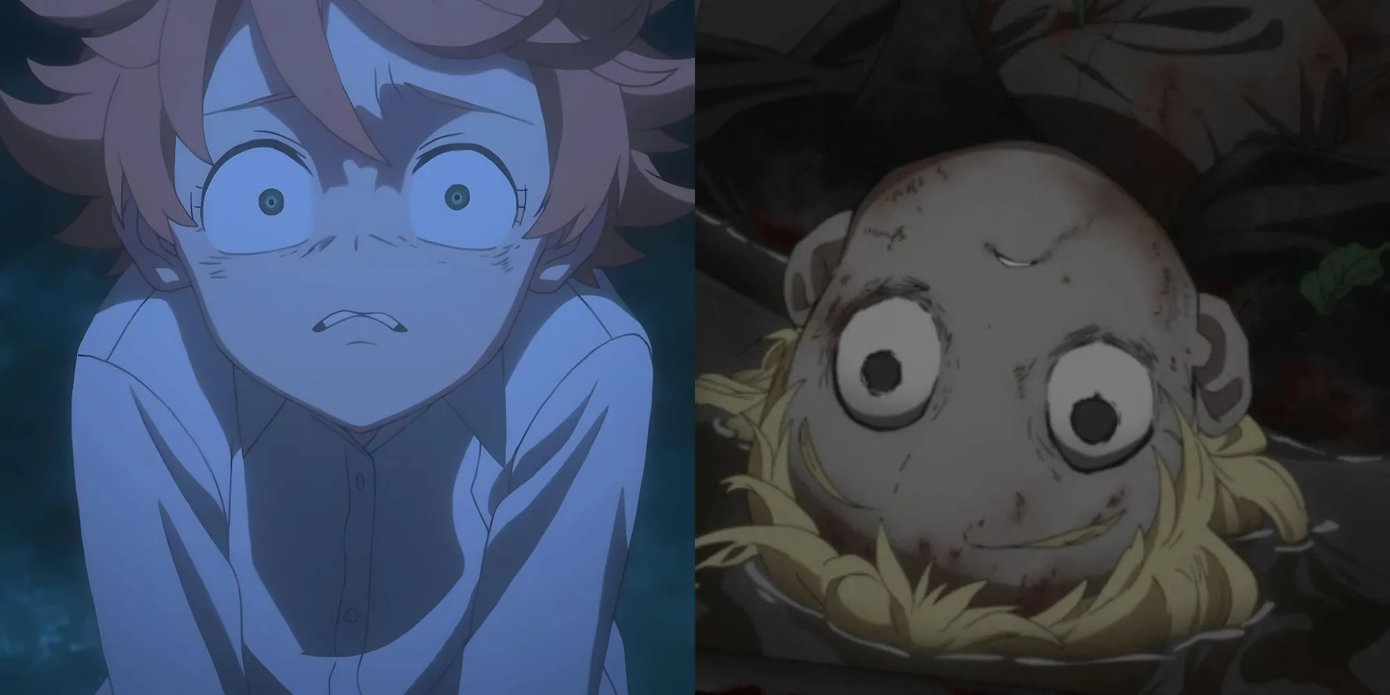 Emma, Norman và Ray phát hiện ra bí mật kinh hoàng đằng sau trại trẻ Grace Field trong tập đầu The Promised Neverland.