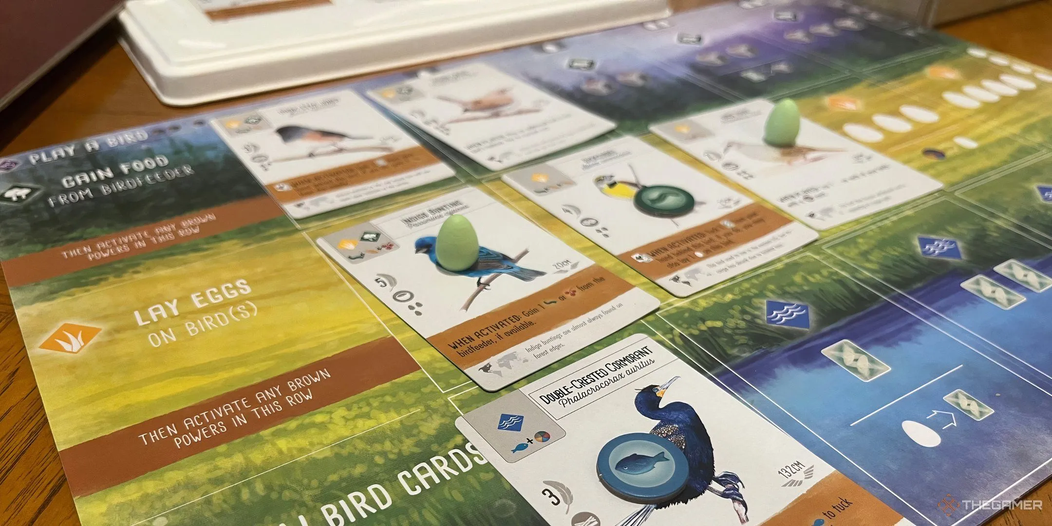Bảng chơi game Wingspan với các thẻ chim và trứng đẹp mắt