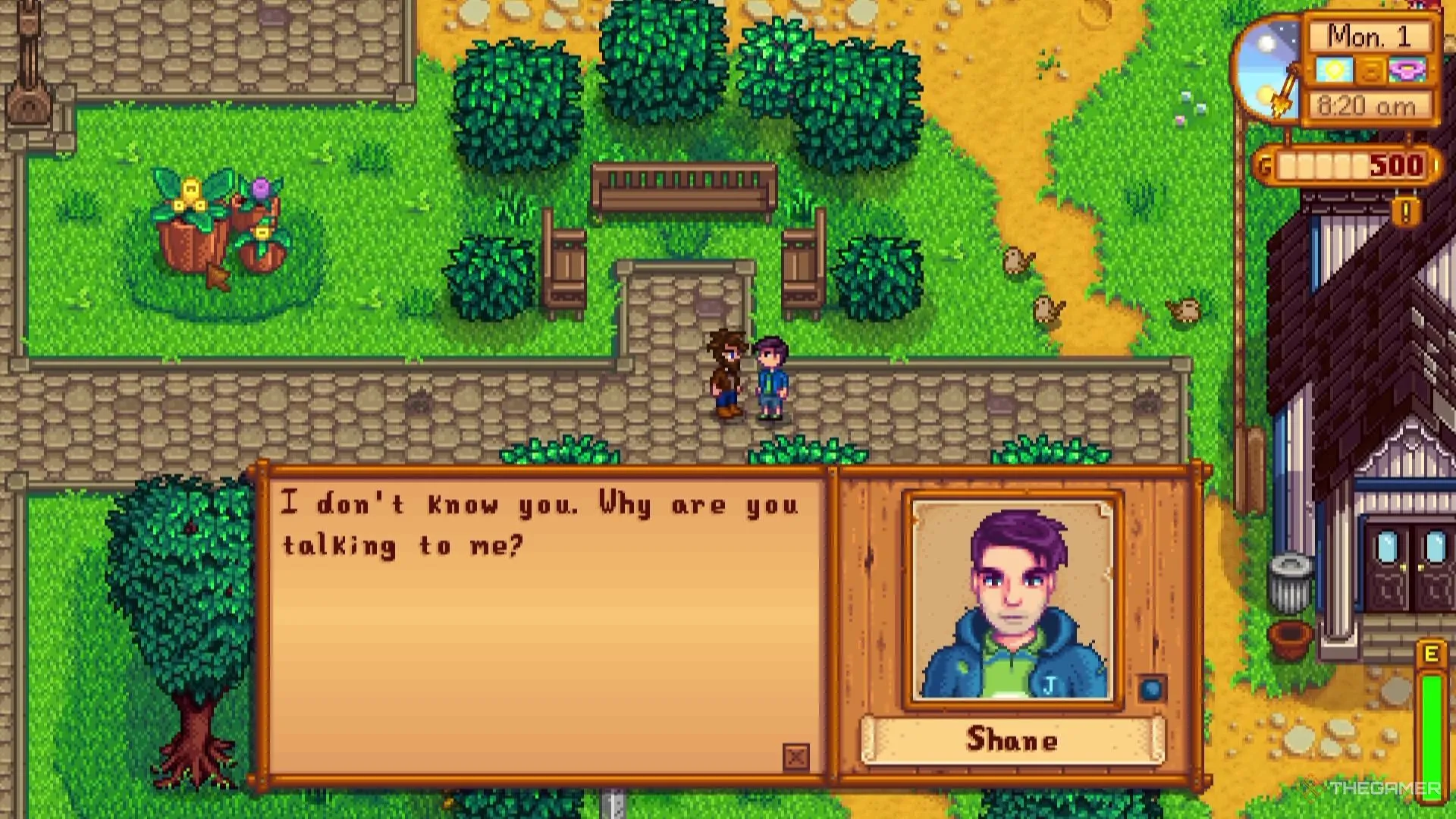 Game thủ tặng bia cho Shane trong Stardew Valley để tăng tình cảm