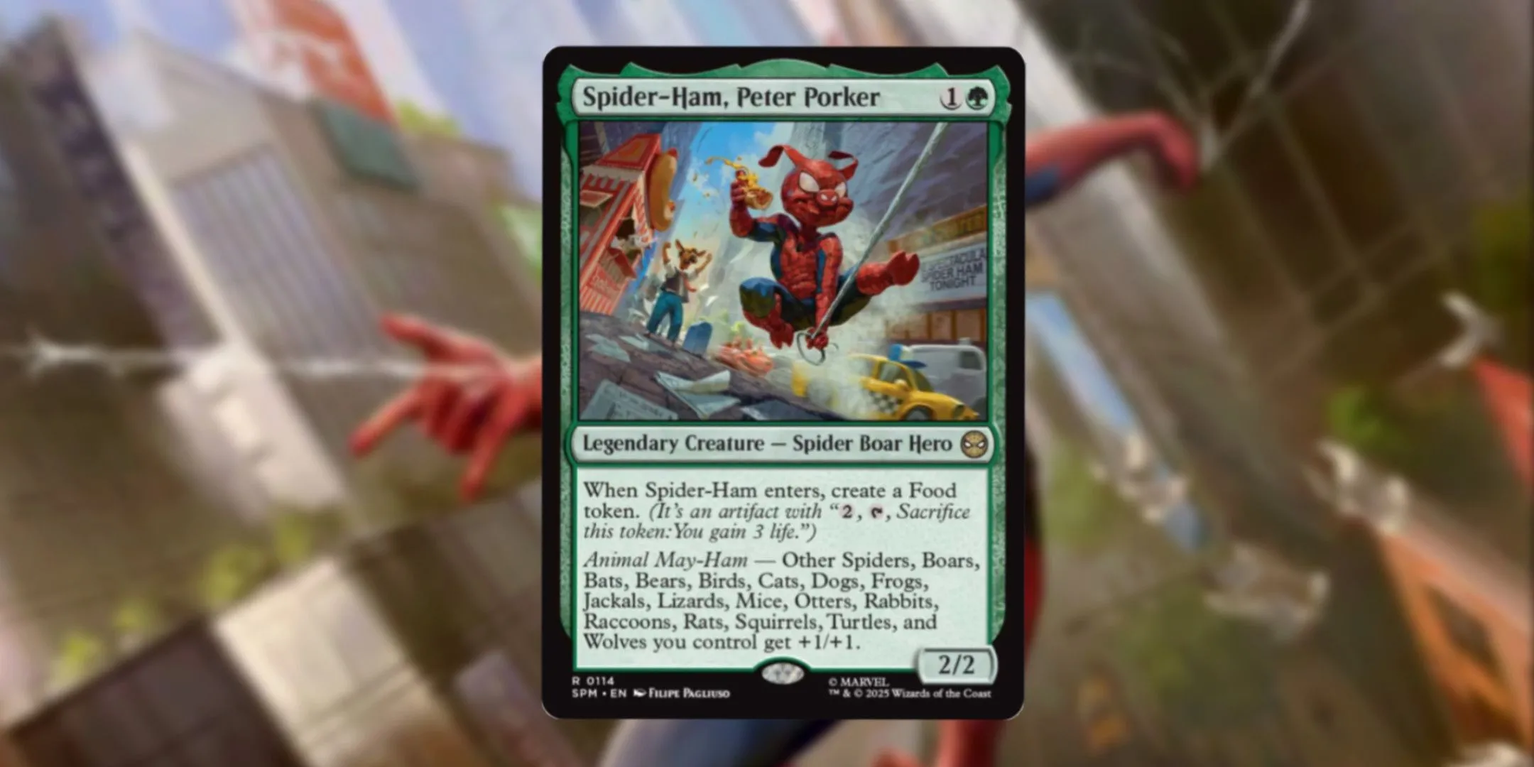 Thẻ bài Magic The Gathering: Spider-Ham, Peter Porker, vị Commander độc đáo của vũ trụ Marvel. Hiển thị thông số 2/2 và hiệu ứng buff +1/+1 cho các loại quái vật.